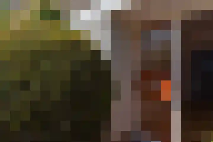 Stedewaarts 32 Assen thumbnail 27