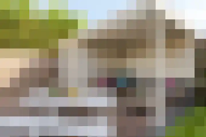 Stedewaarts 32 Assen thumbnail 31