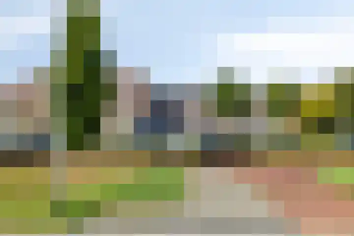 Stedewaarts 32 Assen thumbnail 36