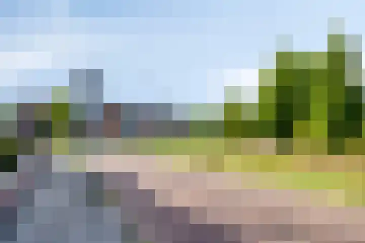 Stedewaarts 32 Assen thumbnail 37