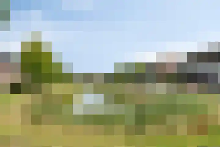 Stedewaarts 32 Assen thumbnail 39