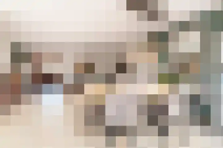 Stedewaarts 32 Assen thumbnail 4
