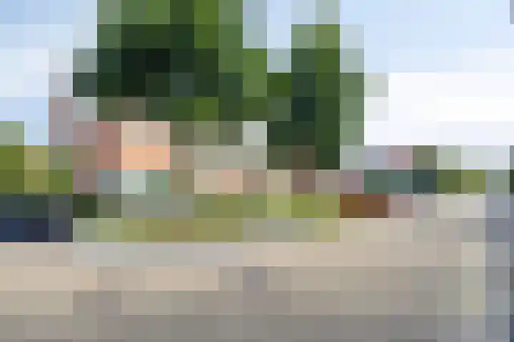 Stedewaarts 32 Assen thumbnail 40