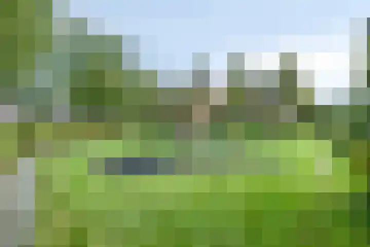 Stedewaarts 32 Assen thumbnail 41