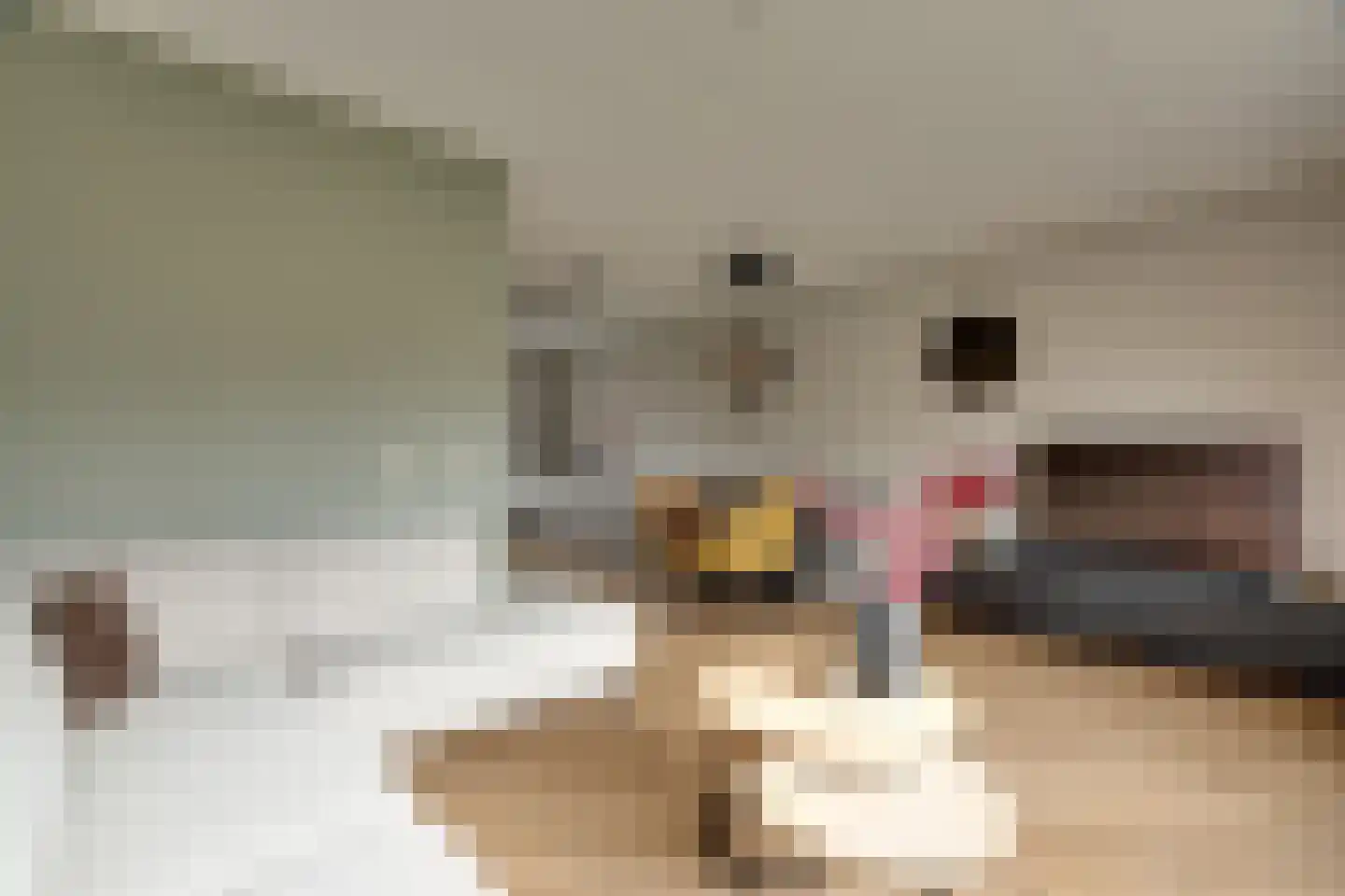 Stedewaarts 32 Assen thumbnail 5