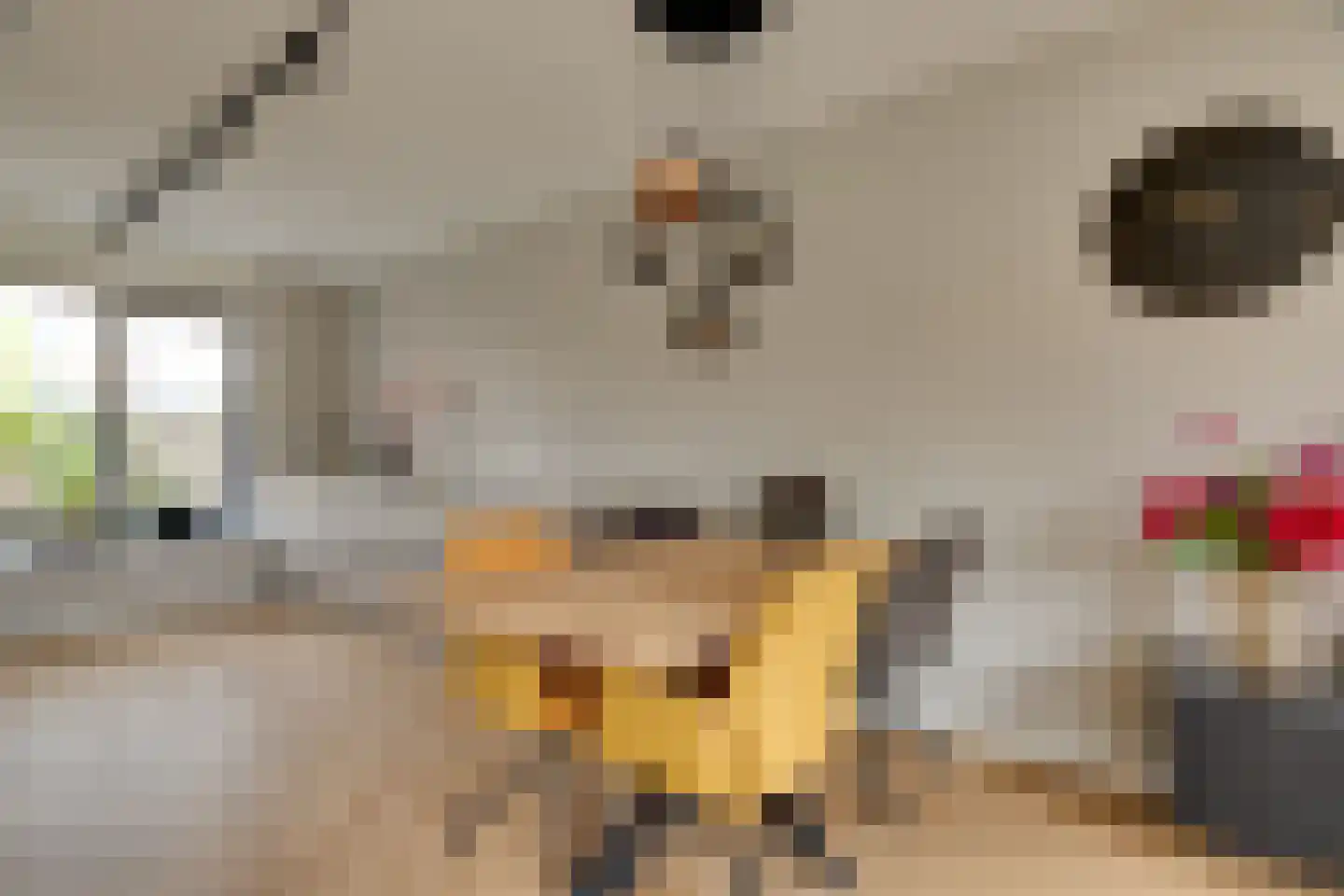 Stedewaarts 32 Assen thumbnail 7
