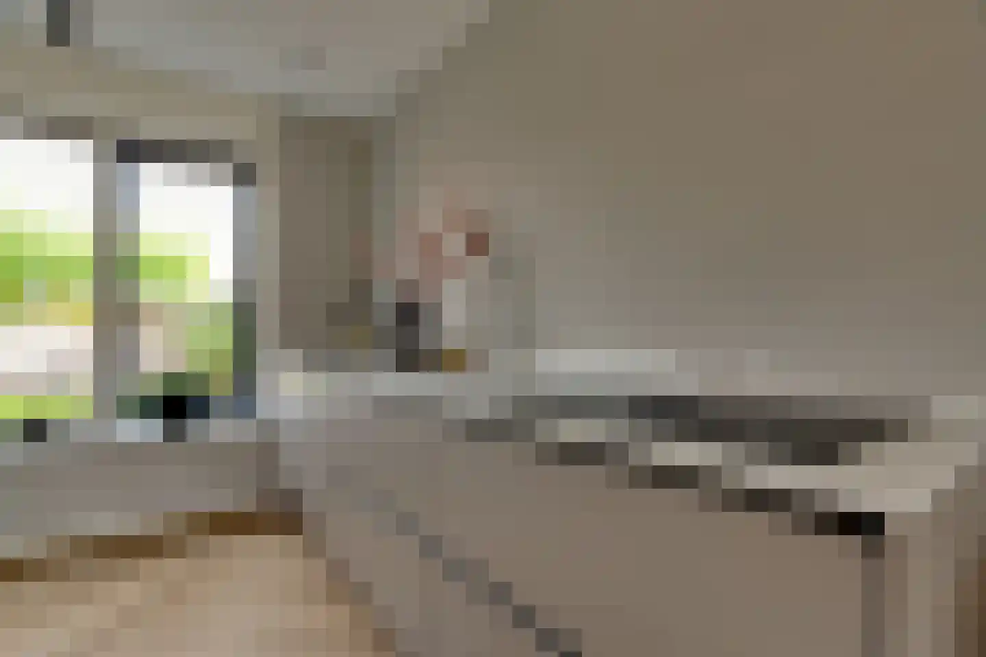 Stedewaarts 32 Assen thumbnail 8