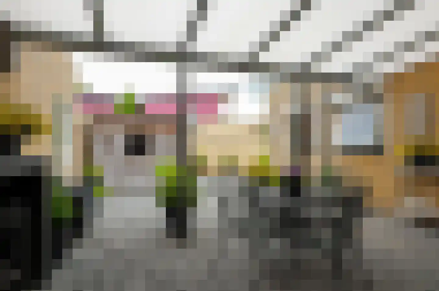 Stedewater 49 Assen thumbnail 27