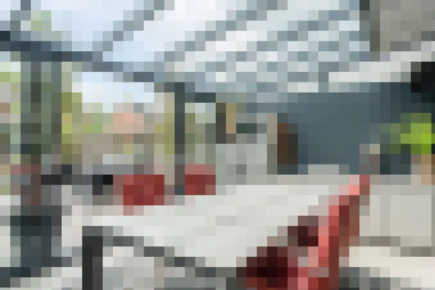 Stedewater 73 Assen thumbnail 45