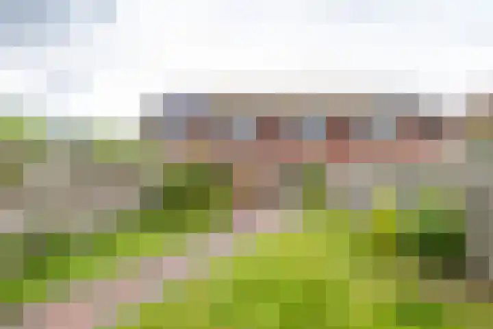 Stedewater 91 Assen thumbnail 22