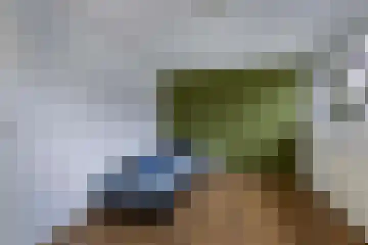 Stêdsfinne 22 Workum thumbnail 16