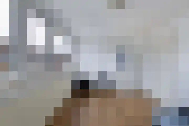 Stêdsfinne 22 Workum thumbnail 17