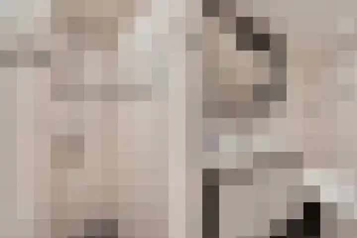 Stêdsfinne 22 Workum thumbnail 20