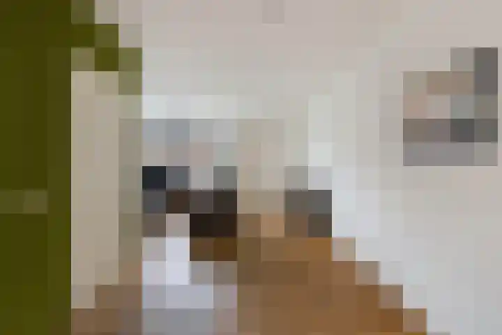 Stêdsfinne 22 Workum thumbnail 5
