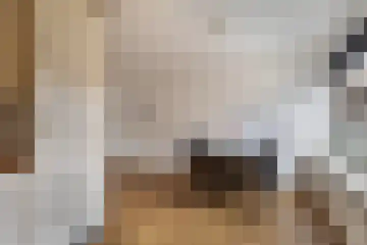 Stêdsfinne 22 Workum thumbnail 8
