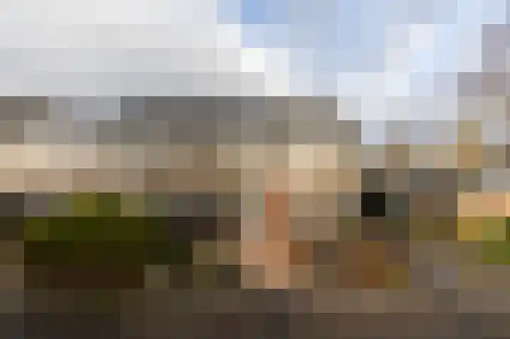 Stêdsfinne 37 Workum