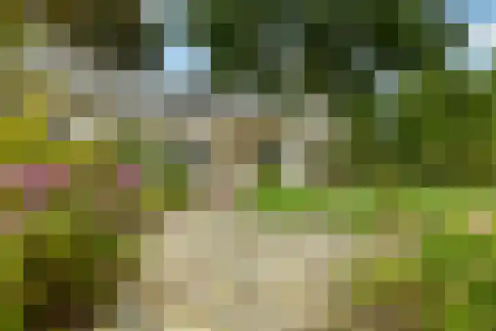 Stêdsfinne 37 Workum thumbnail 11
