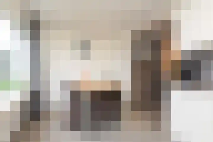 Stêdsfinne 37 Workum thumbnail 12