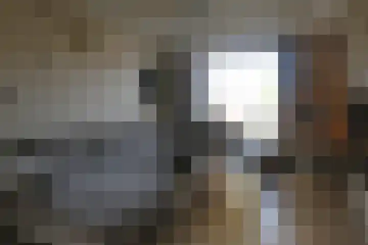 Stêdsfinne 37 Workum thumbnail 15