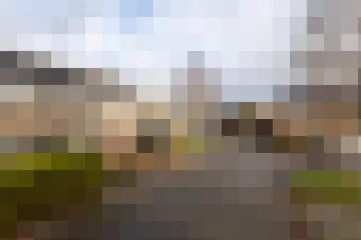 Stêdsfinne 37 Workum foto 2