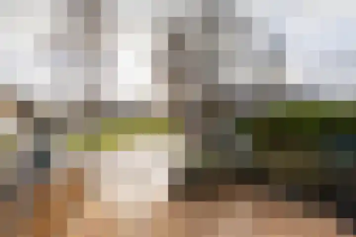 Stêdsfinne 37 Workum thumbnail 29