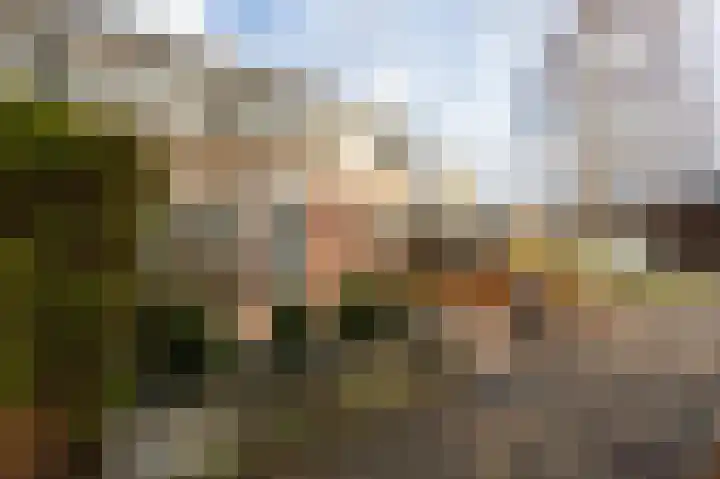 Stêdsfinne 37 Workum thumbnail 30