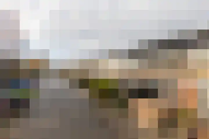 Stêdsfinne 37 Workum thumbnail 31