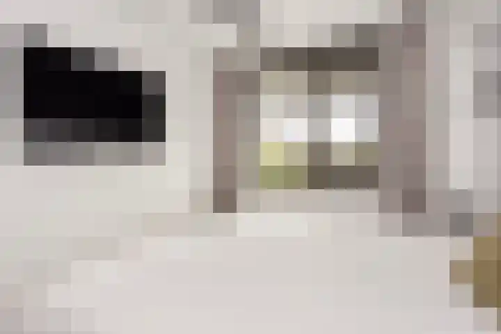 Stêdsfinne 37 Workum thumbnail 32