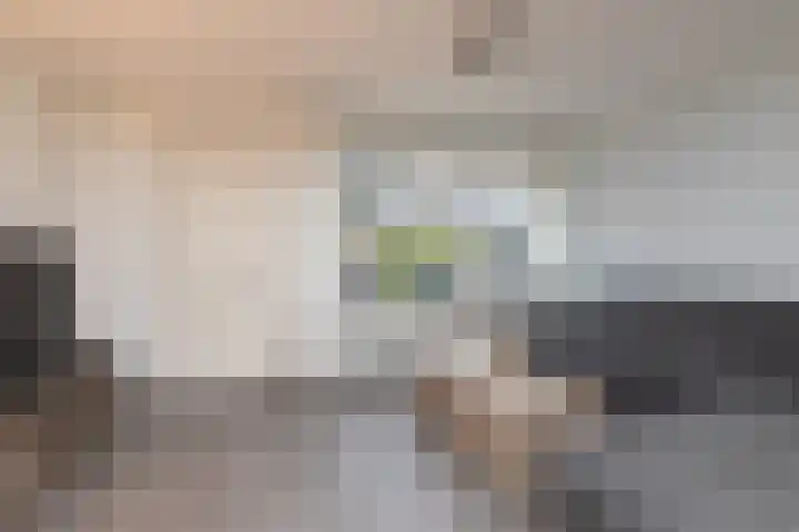 Stêdsfinne 37 Workum thumbnail 6