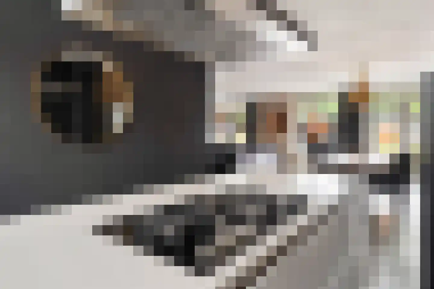 Steeckterpolderstraat 19 Gouda thumbnail 19