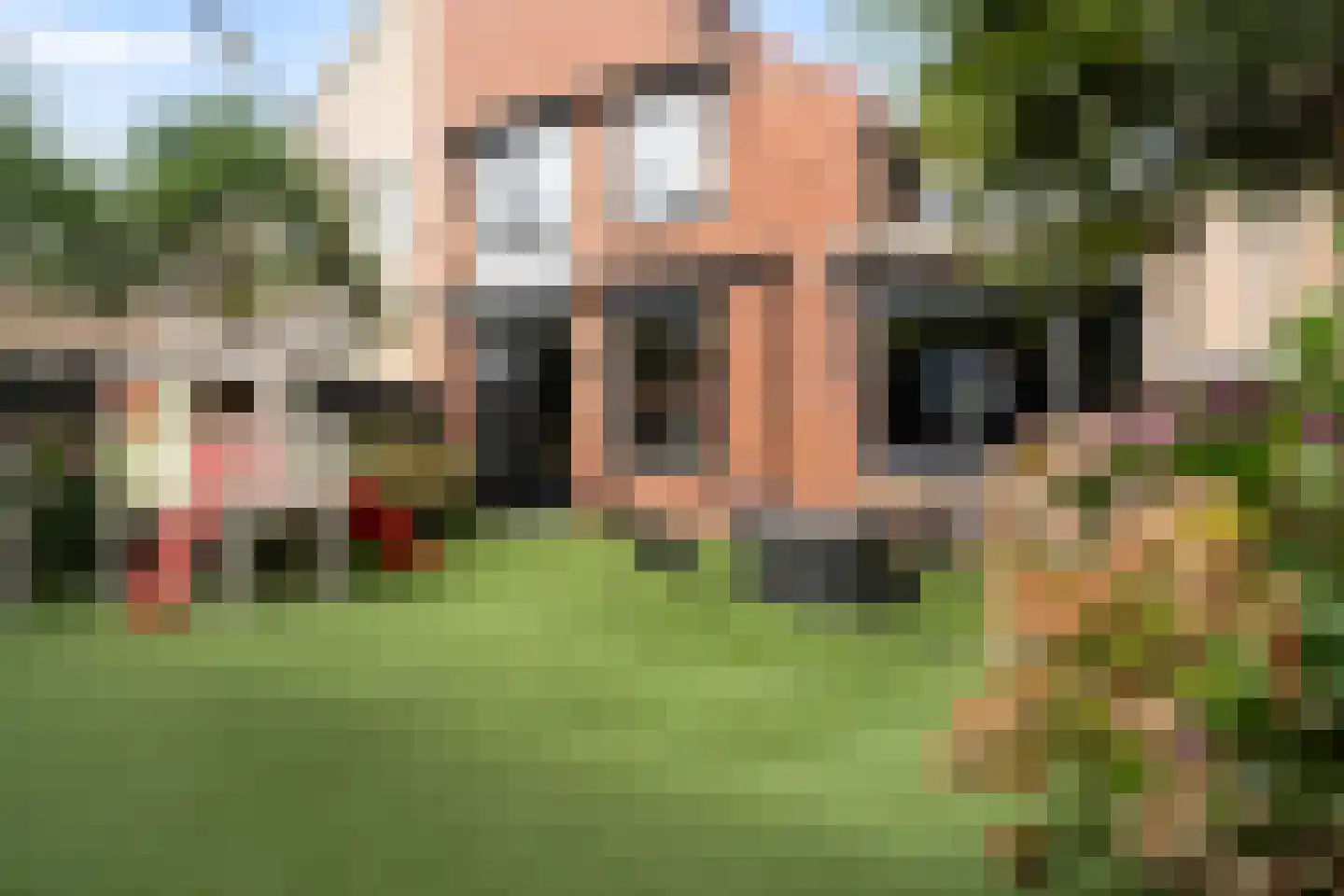 Steeckterpolderstraat 19 Gouda thumbnail 26