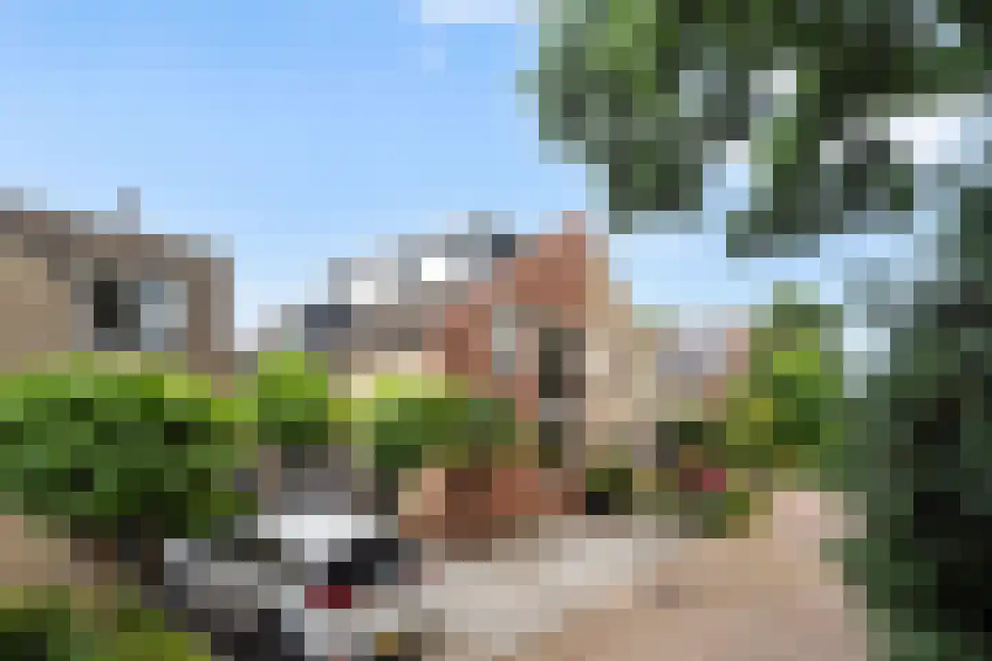 Steeckterpolderstraat 19 Gouda thumbnail 56