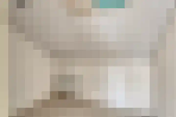 Steeg 17 Arcen thumbnail 32