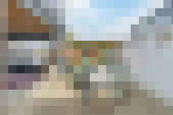 Steeg 17 Arcen thumbnail 46