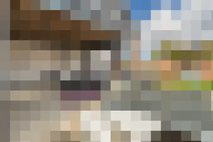 Steeg 17 Arcen thumbnail 47