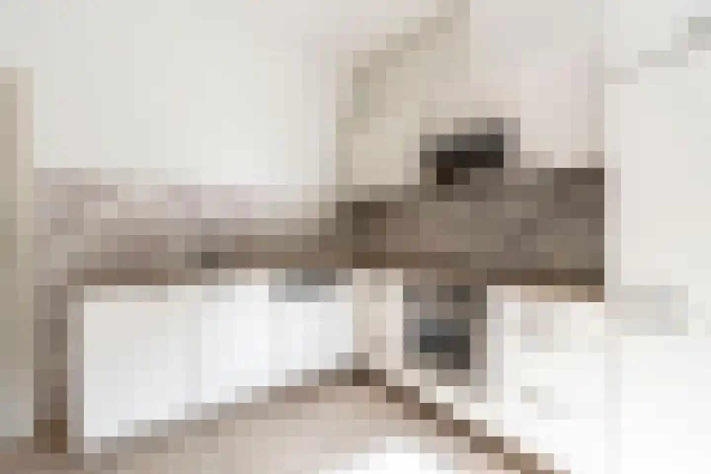 Steeg 18 Thorn thumbnail 11