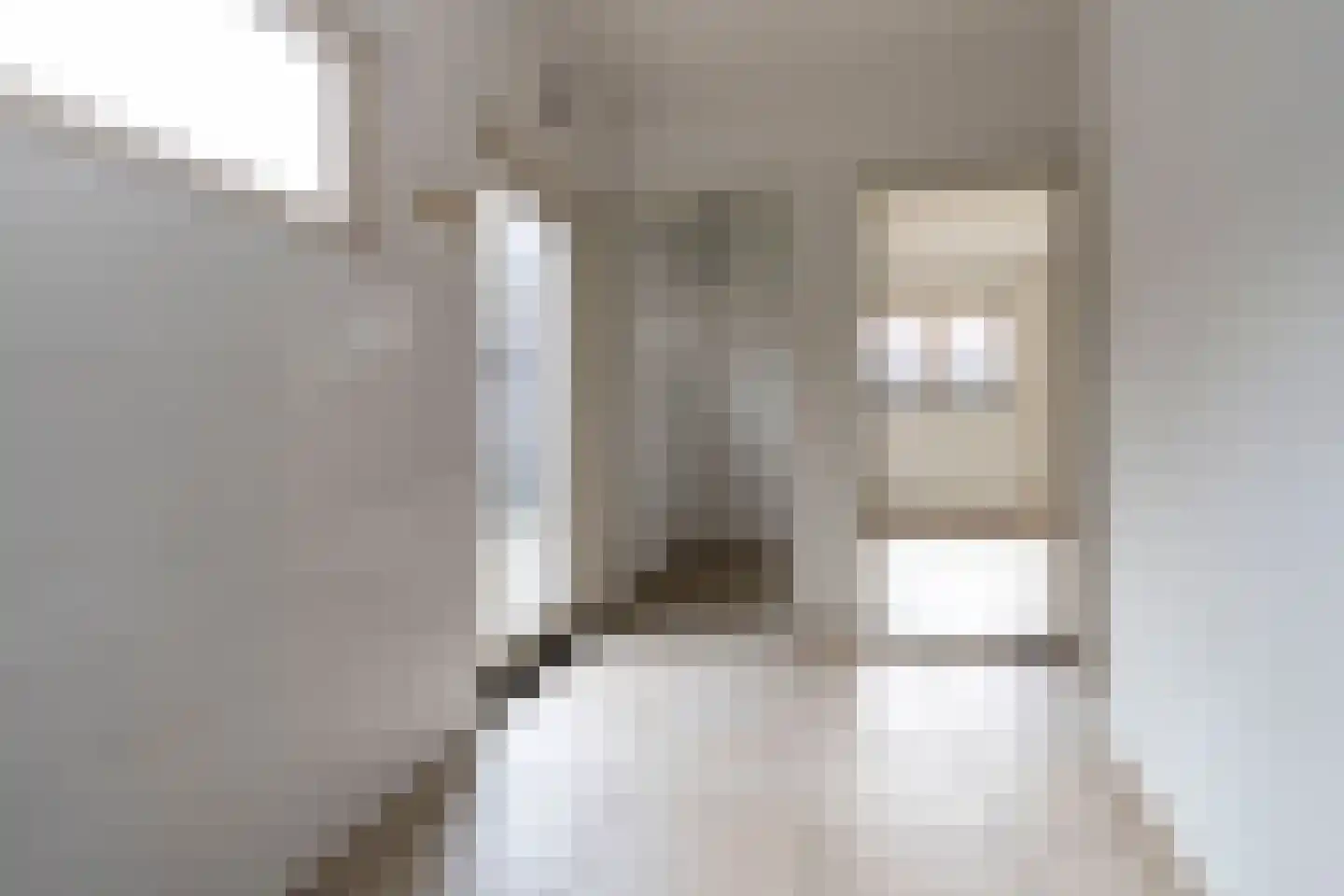 Steeg 18 Thorn thumbnail 14