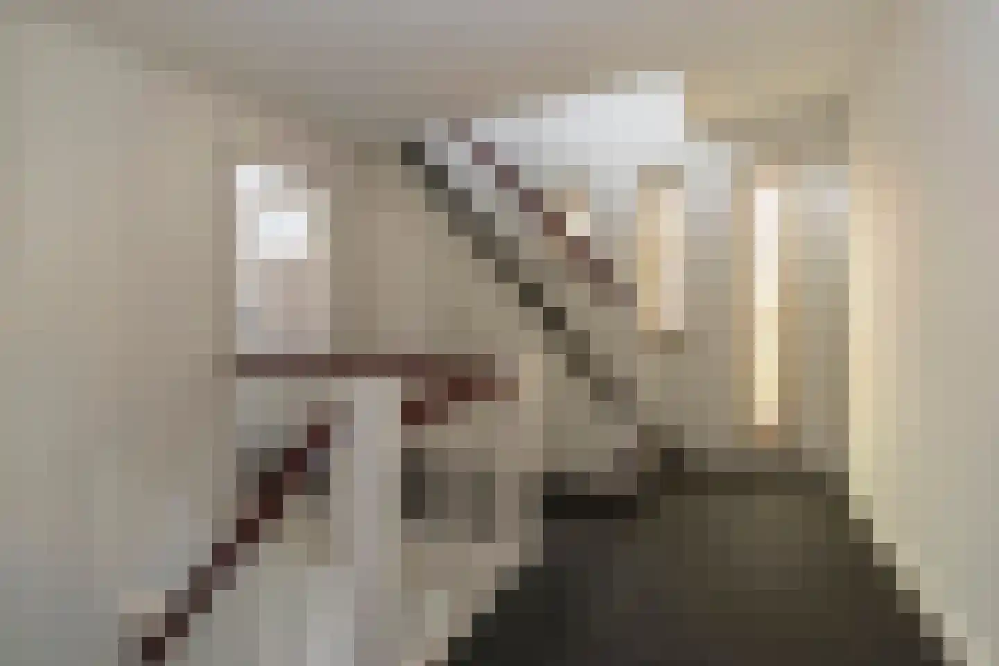 Steeg 18 Thorn thumbnail 24