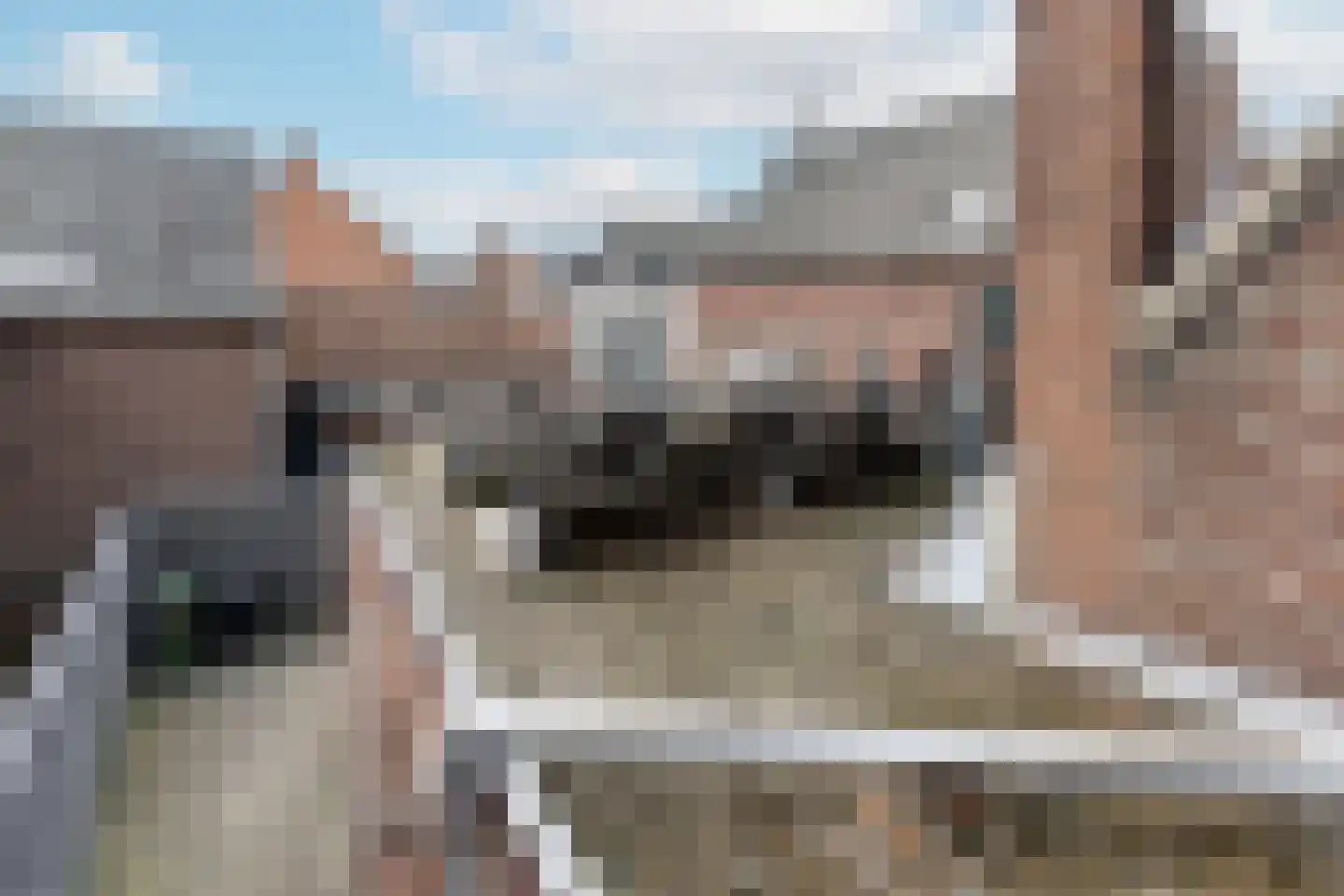 Steeg 18 Thorn thumbnail 37