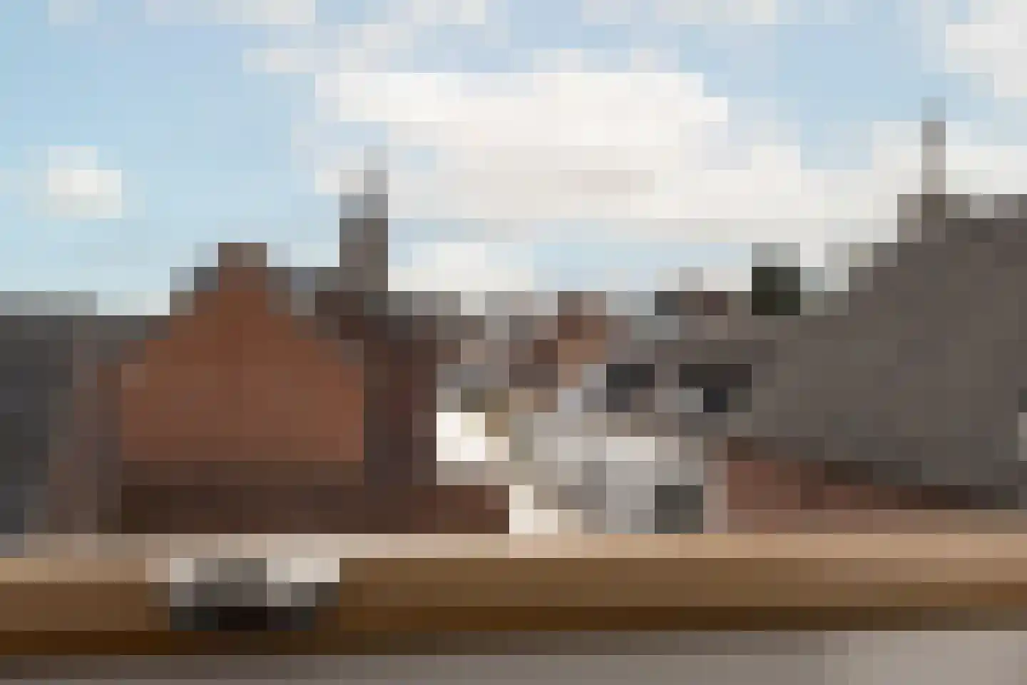 Steeg 18 Thorn thumbnail 38