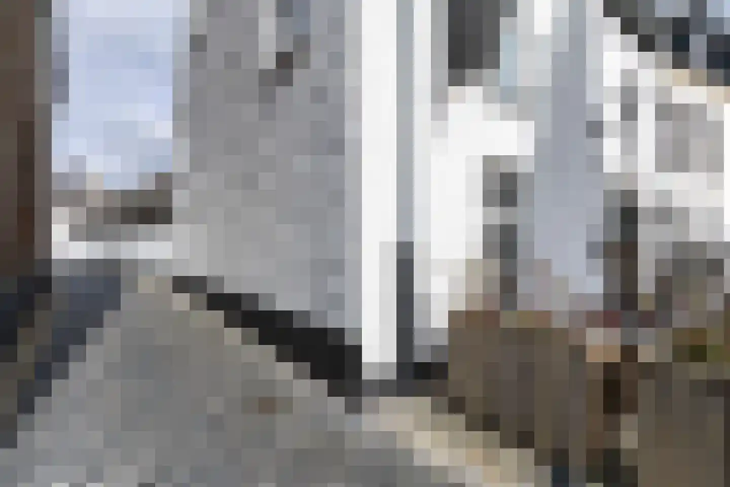 Steeg 18 Thorn thumbnail 41