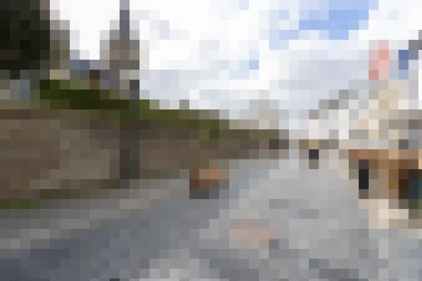 Steeg 18 Thorn thumbnail 42