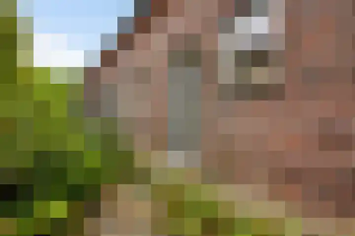 Steeg 19 Sevenum thumbnail 10