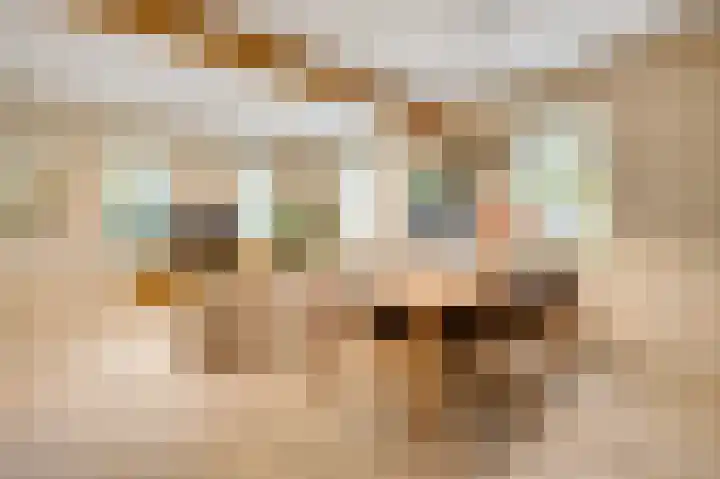 Steeg 19 Sevenum thumbnail 15
