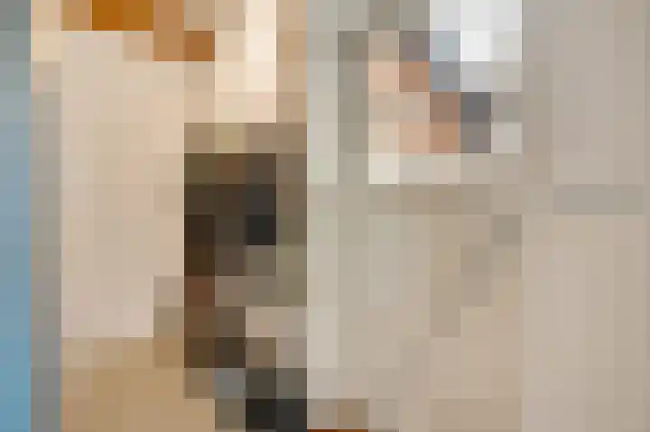 Steeg 19 Sevenum thumbnail 31