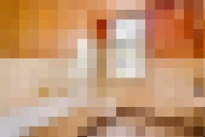 Steeg 19 Sevenum thumbnail 33