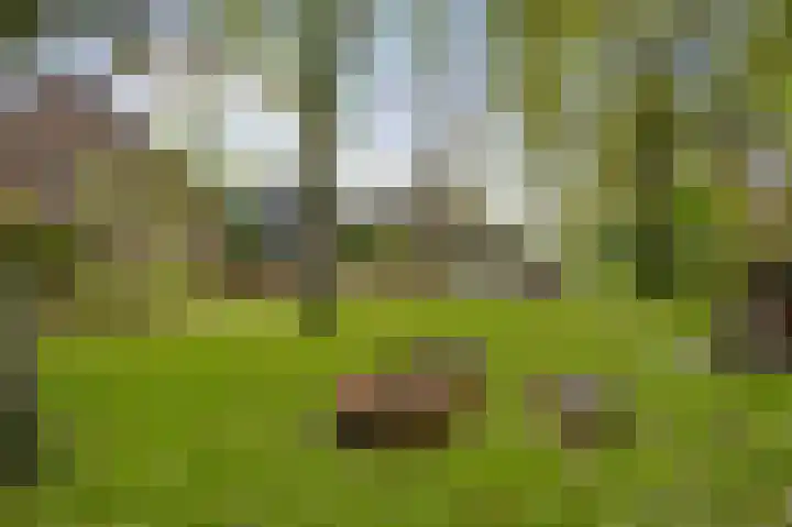 Steeg 19 Sevenum thumbnail 4
