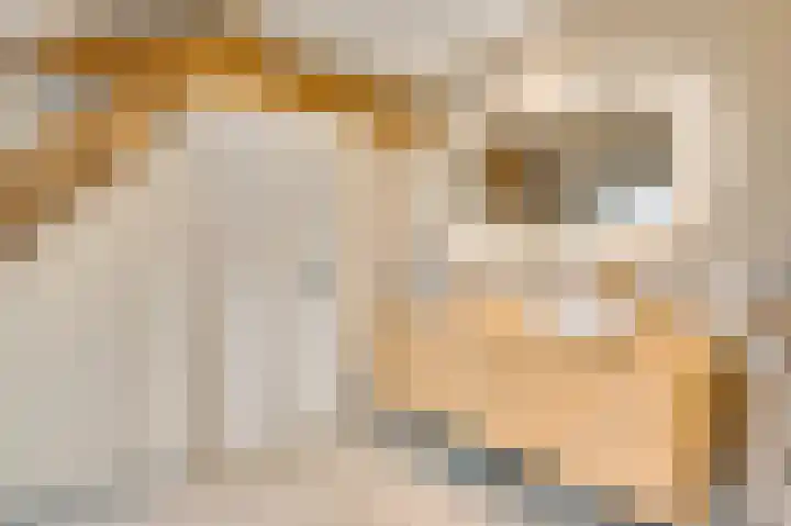 Steeg 19 Sevenum thumbnail 47