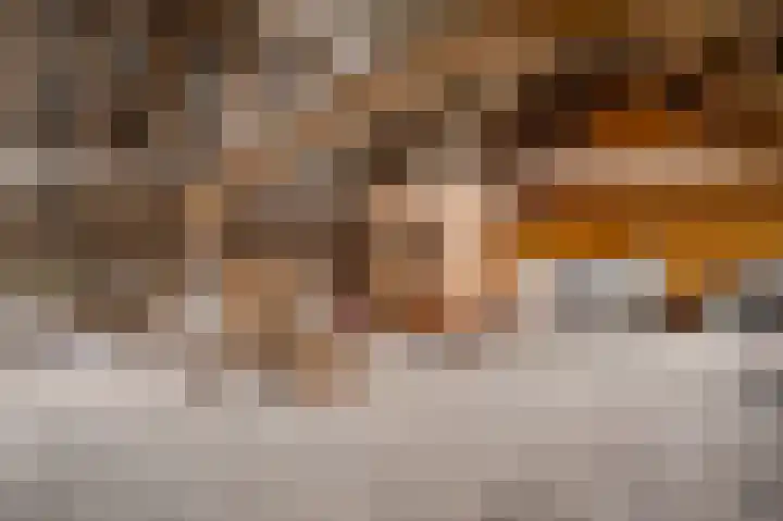 Steeg 19 Sevenum thumbnail 54