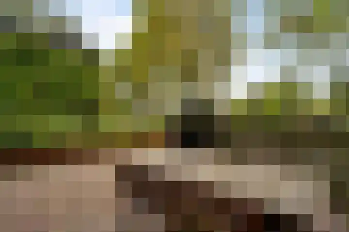 Steeg 19 Sevenum thumbnail 56